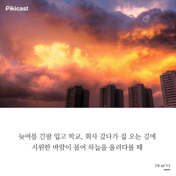 크기변환_20140808-10.jpg